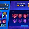 bratshka1