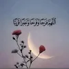 user91176004902142