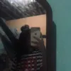 alexia.mariana03