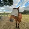 lylahandpolo