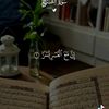 user28314709304708