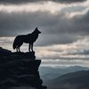 _naifm511