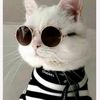 thecrazymod_041013