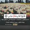 user75885619921684