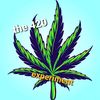 the420experiment