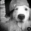 _szsttair