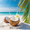 coconutbyh