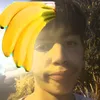 pelekesaiusu
