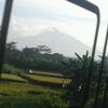 elvano_ajaa87