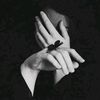 muhamed.nour0