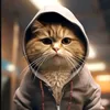 videos.engraçados339