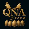QNA elba Farm