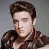 elvis.presley.mi