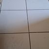 user3197384775001