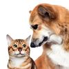 HEXA-SG PETS