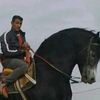 cheval.de.ghazawa