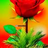 user3340822323717