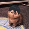 kageyama_h10