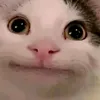 _aidoclamchohaha_
