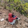 dindainutt