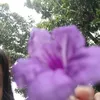 picxziee_
