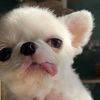 thuy.le3526