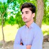 tauqeer.abbas9687