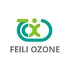 FEILI Ozone Generator