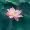 Thức Tỉnh Bản Thân