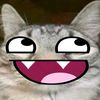 rafah_2l69