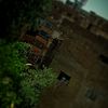 shakirhussain1103