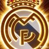 user40282038329938