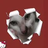 id.kitty.ne.bay.oi