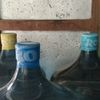 cepto.banyu99