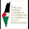 user2702580736851