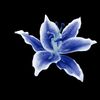 ruby.alomes44