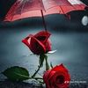 user2769991191229