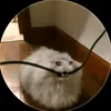 aqww223