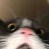 binzznote14