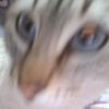 user862322256