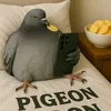 sigeonpigeon