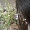 ange_ab1