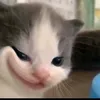 ranhlontaoacc_hihi