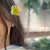 ＬＡＩＢＡ 🌷