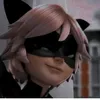 cat.noir946