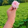 user233jui