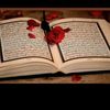 user15300719394568