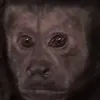 tiltokisdumb1