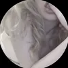 .7zi.2
