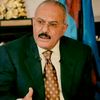 bashar.abdo72